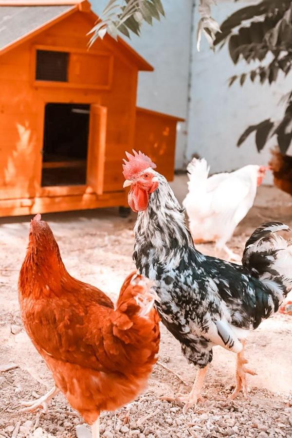 Finca Besito Alhaurín el Grande Екстериор снимка